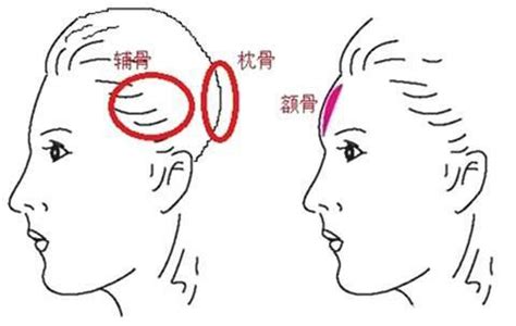 枕骨突出面相|《相学精义》刘恒注解，额骨、顶骨、枕骨面相篇（。